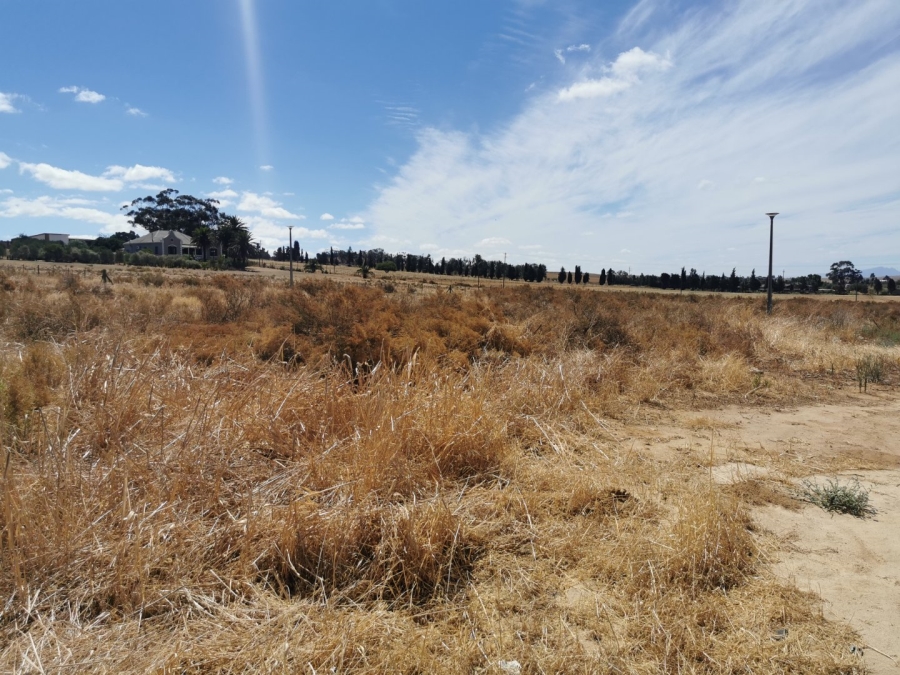  Bedroom Property for Sale in Moorreesburg Western Cape